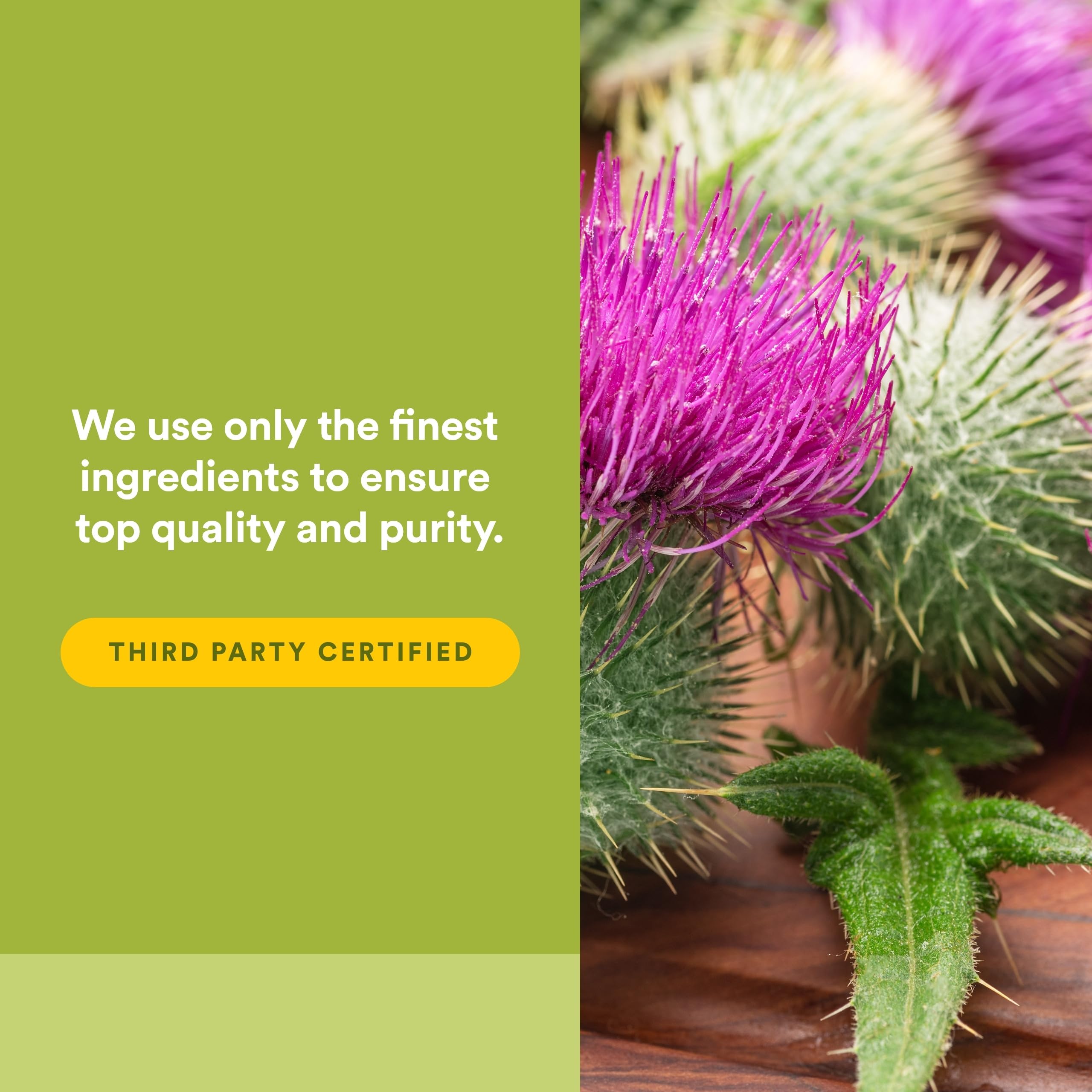Natural Factors HerbalFactors Phytosome: dosage simple avec le doseur inclus.