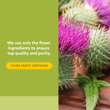 Natural Factors HerbalFactors Phytosome: dosage simple avec le doseur inclus.