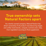 Natural Factors Hi Potency B Complex – qualité et production intégrée, fiabilité.