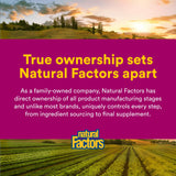 Natural Factors huile d'origan potentielle contribution à l immunité grâce à sa formulation.