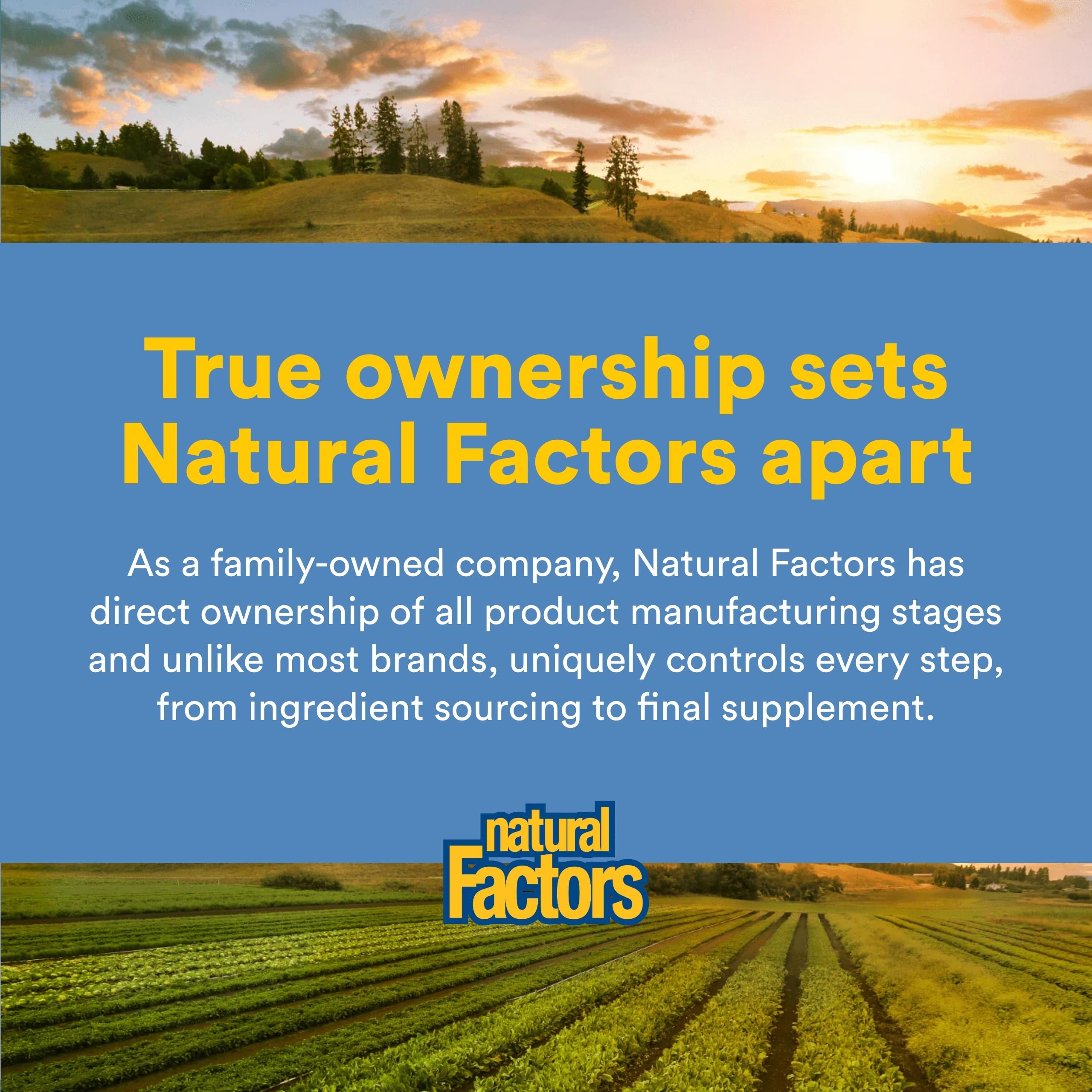 Natural Factors huile saumon alaskien — utilisation quotidienne dans un repas équilibré.