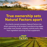 Natural Factors Kids Vitamin C 500 mg, texture croquante adaptée aux enfants.