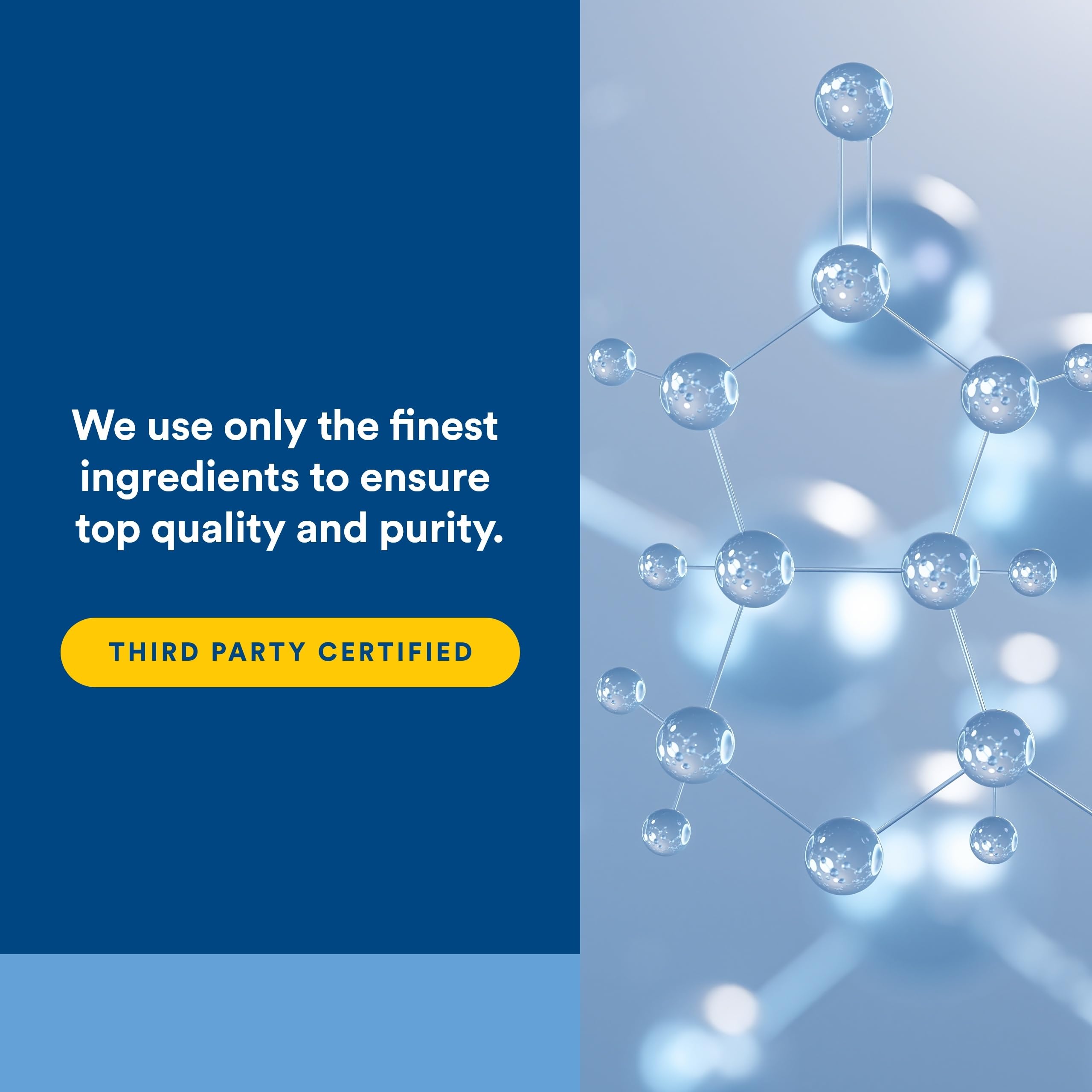 Natural Factors L-Glutamine micronisée 1000 mg — peut contribuer à soutenir les muscles lors d'entraînements.
