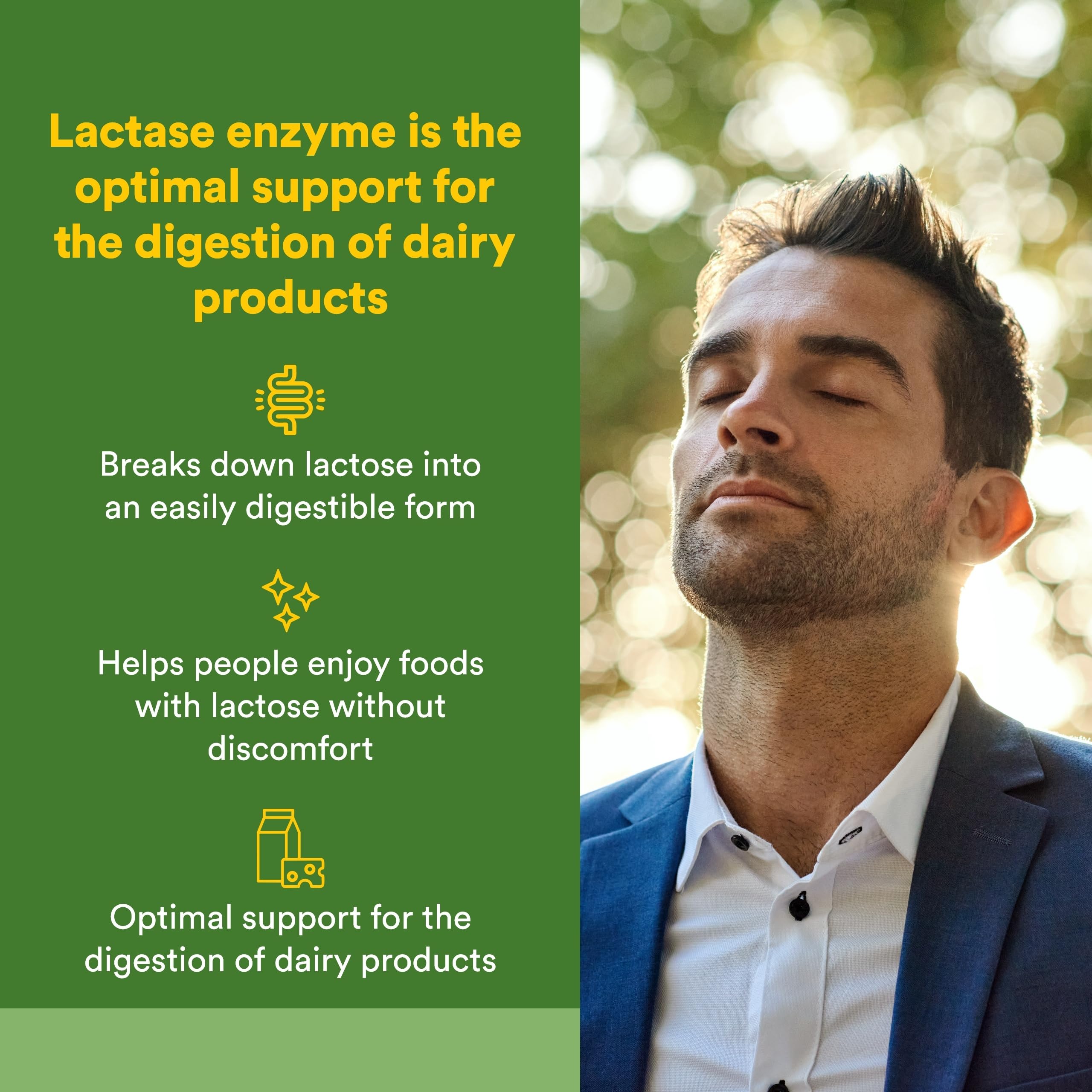 Natural Factors Lactase Enzyme, capsules faciles à avaler pour un repas sans inconfort.