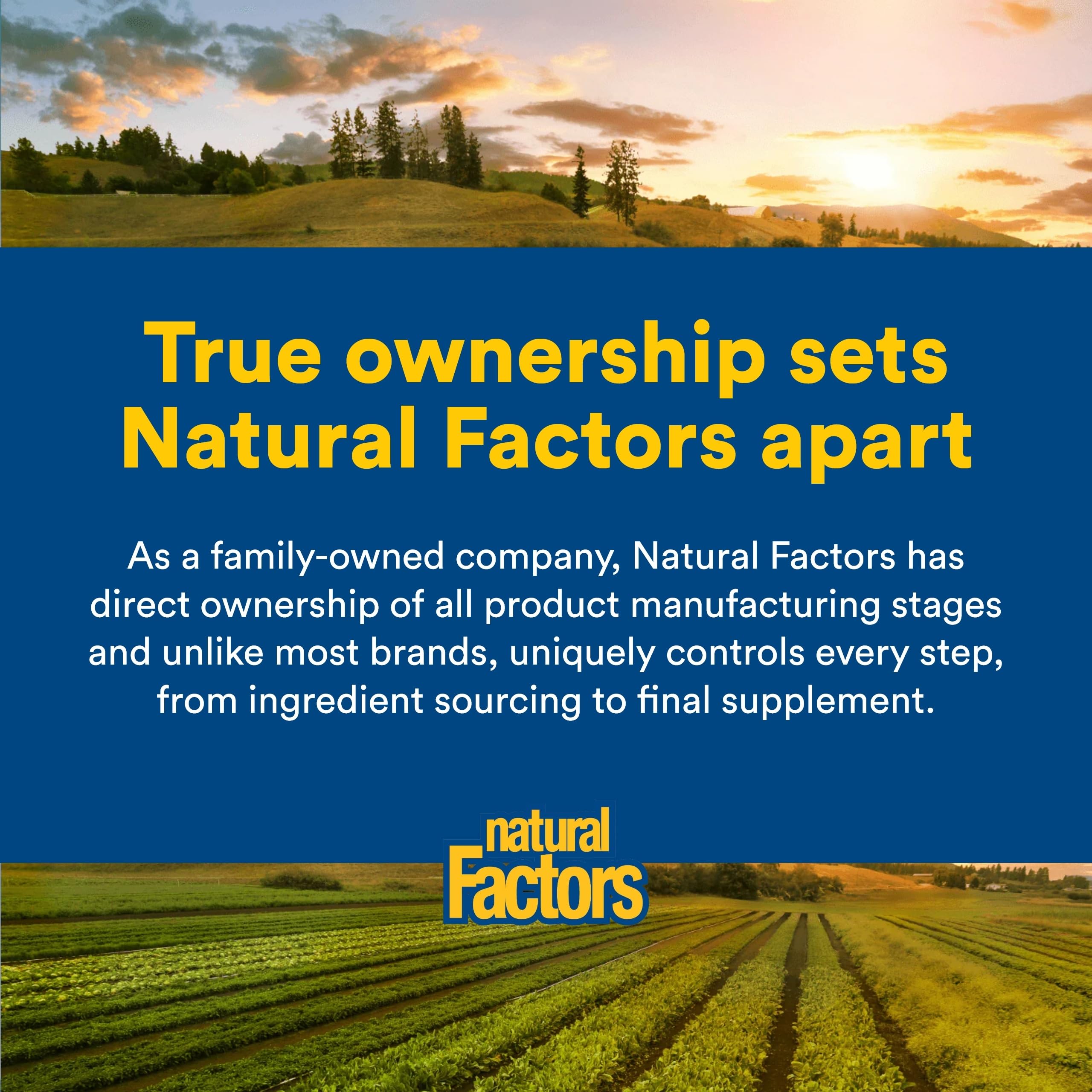 Natural Factors L-Lysine, routine bien-être quotidienne, potentiel soutien nutritionnel.