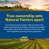 Natural Factors L-Lysine, routine bien-être quotidienne, potentiel soutien nutritionnel.