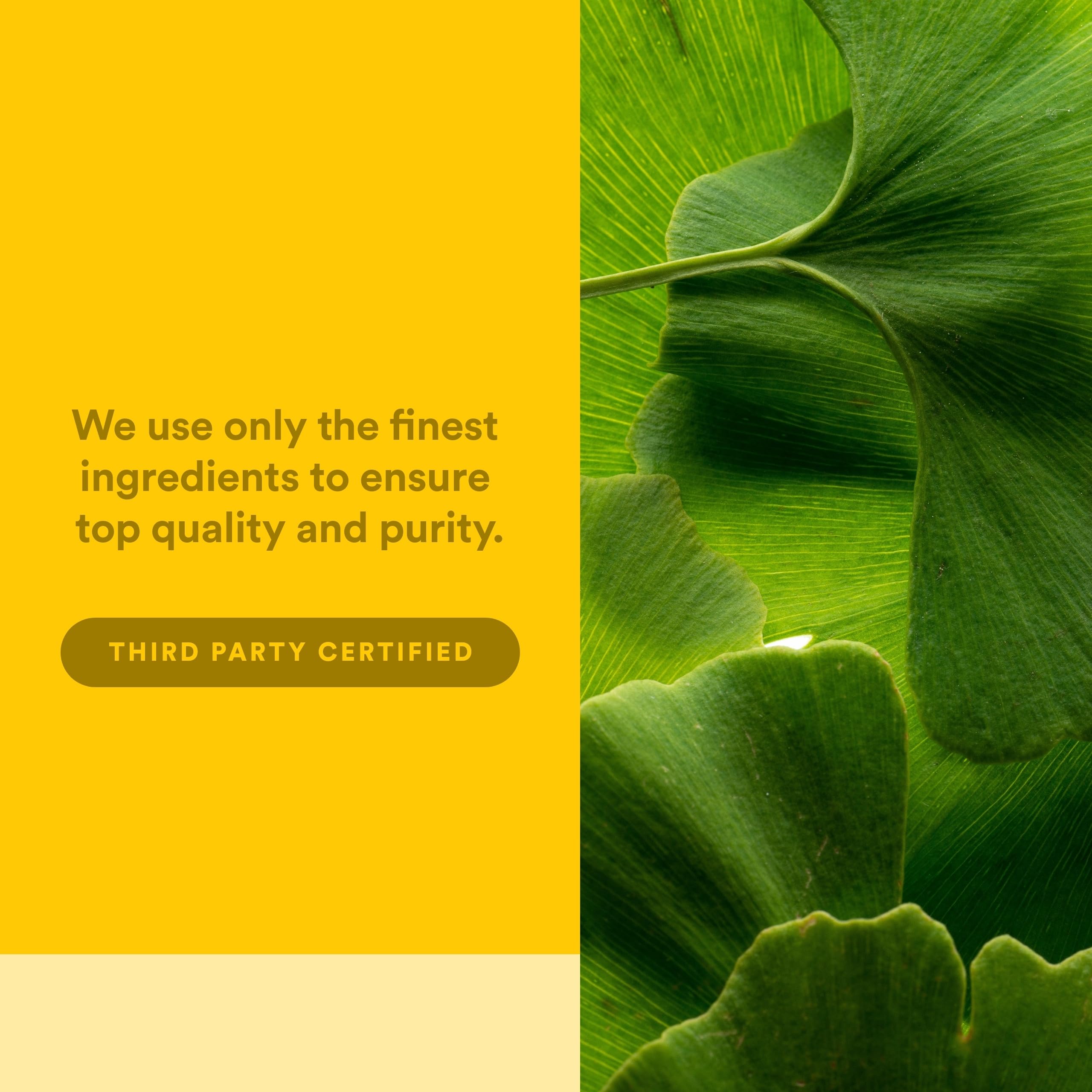Natural Factors Men’s 50+ MultiStart: ferme biologique certifiée et production locale