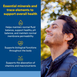 Natural Factors Minéraux Ocean Profonds capsules faciles à prendre pour le soutien énergétique