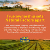 Natural Factors MSM — production locale et biologique pour une pureté durable