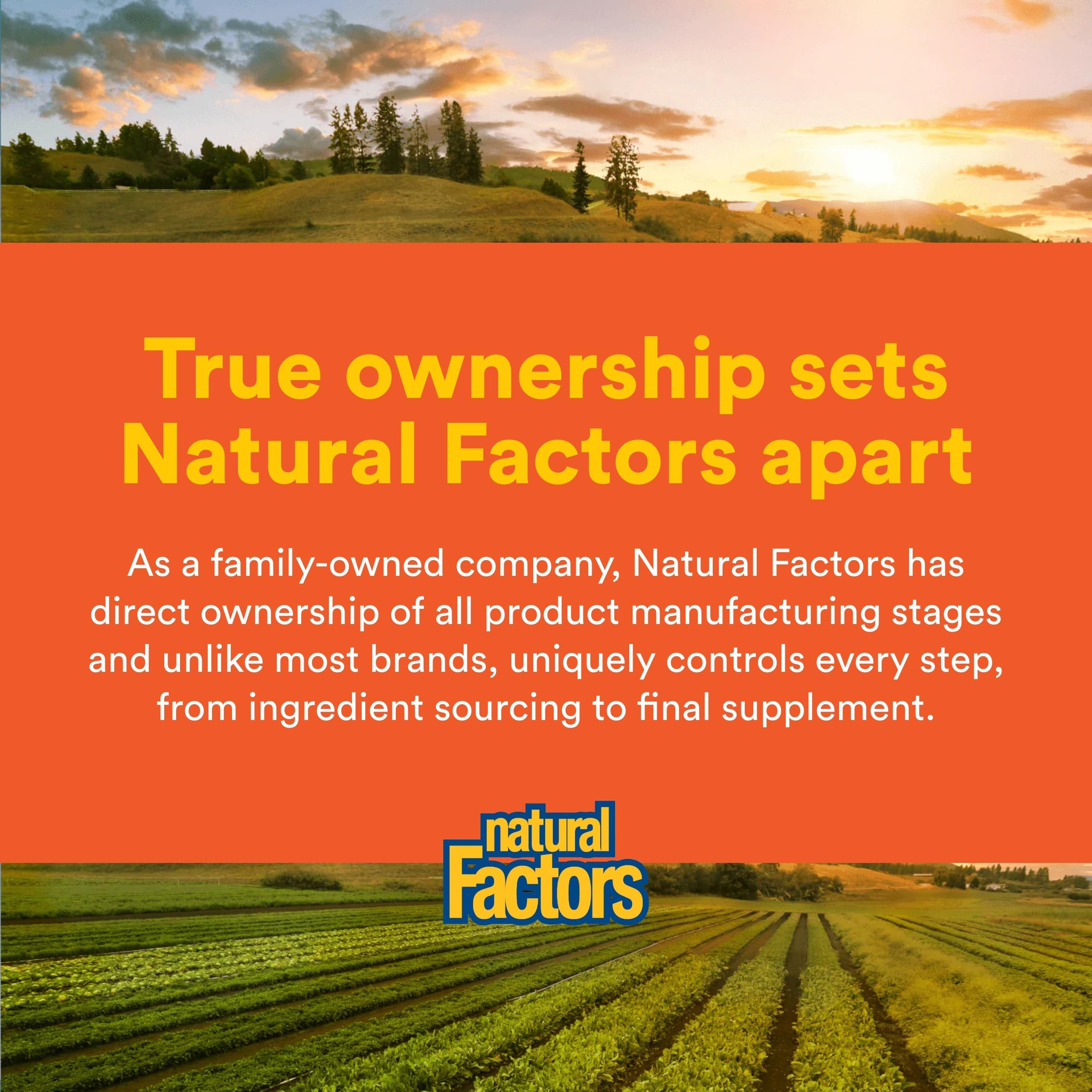 Natural Factors MSM, pur et fiable, pour un confort durable au quotidien.