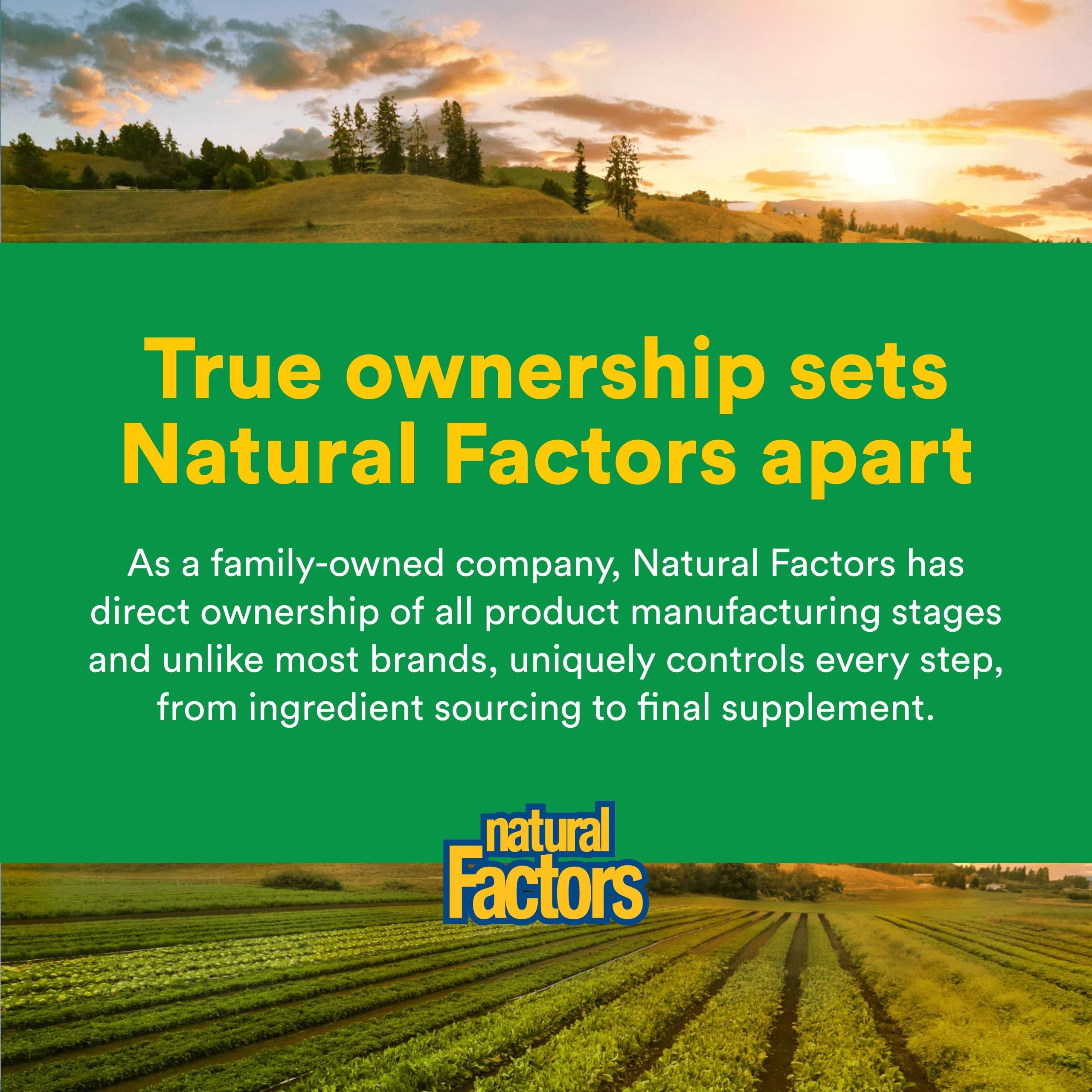 Natural Factors Multi Enzyme – sans OGM et sans lactose ni gluten