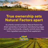 Natural Factors Nattokinase 100 mg, emballage-respectueux, choix durable.