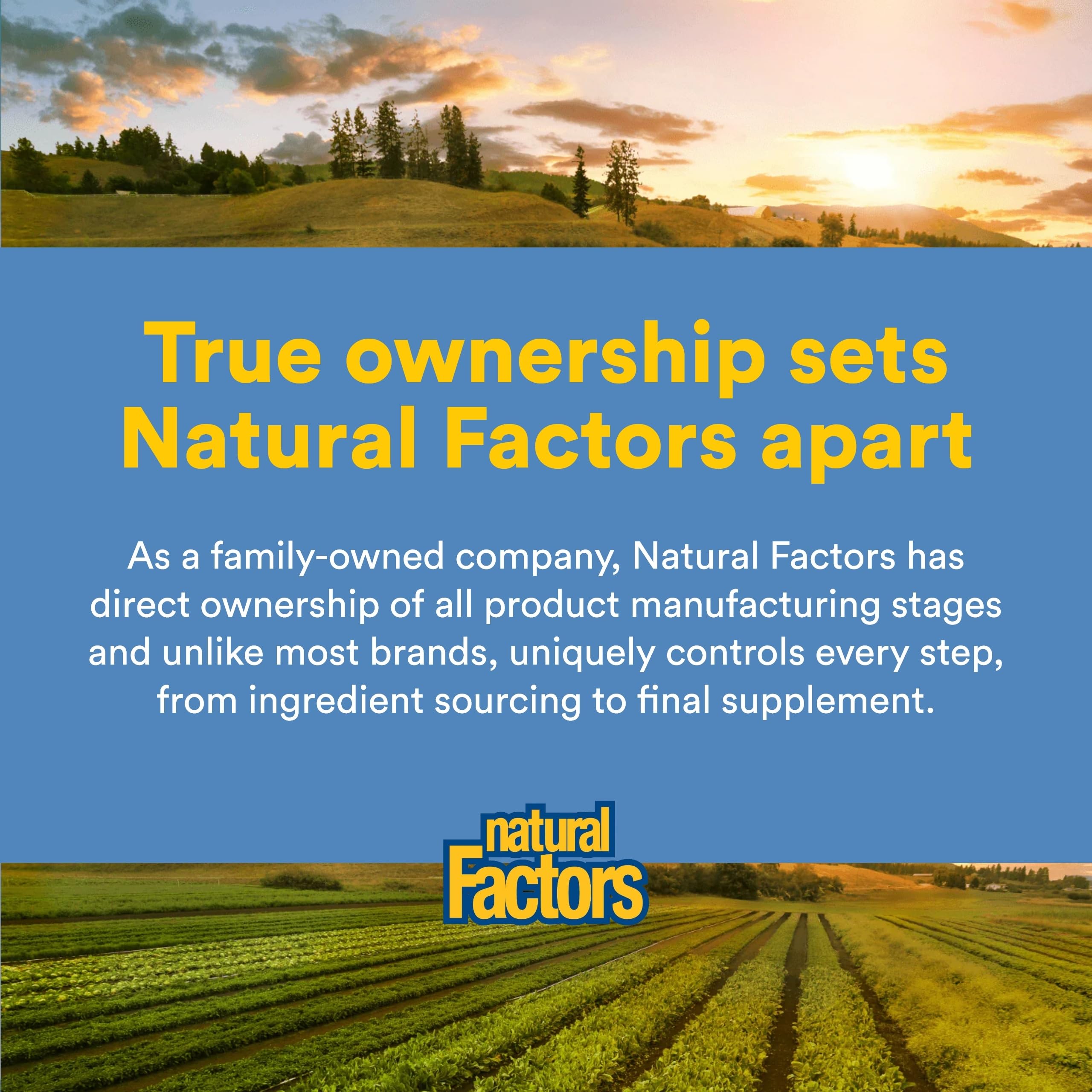 Natural Factors Omega Factors, DHA important pour les fonctions quotidiennes du cerveau.