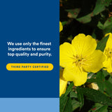 Natural Factors Omega Factors Ultra Prim — ingrédients oméga-6 riches pour le bien-être.
