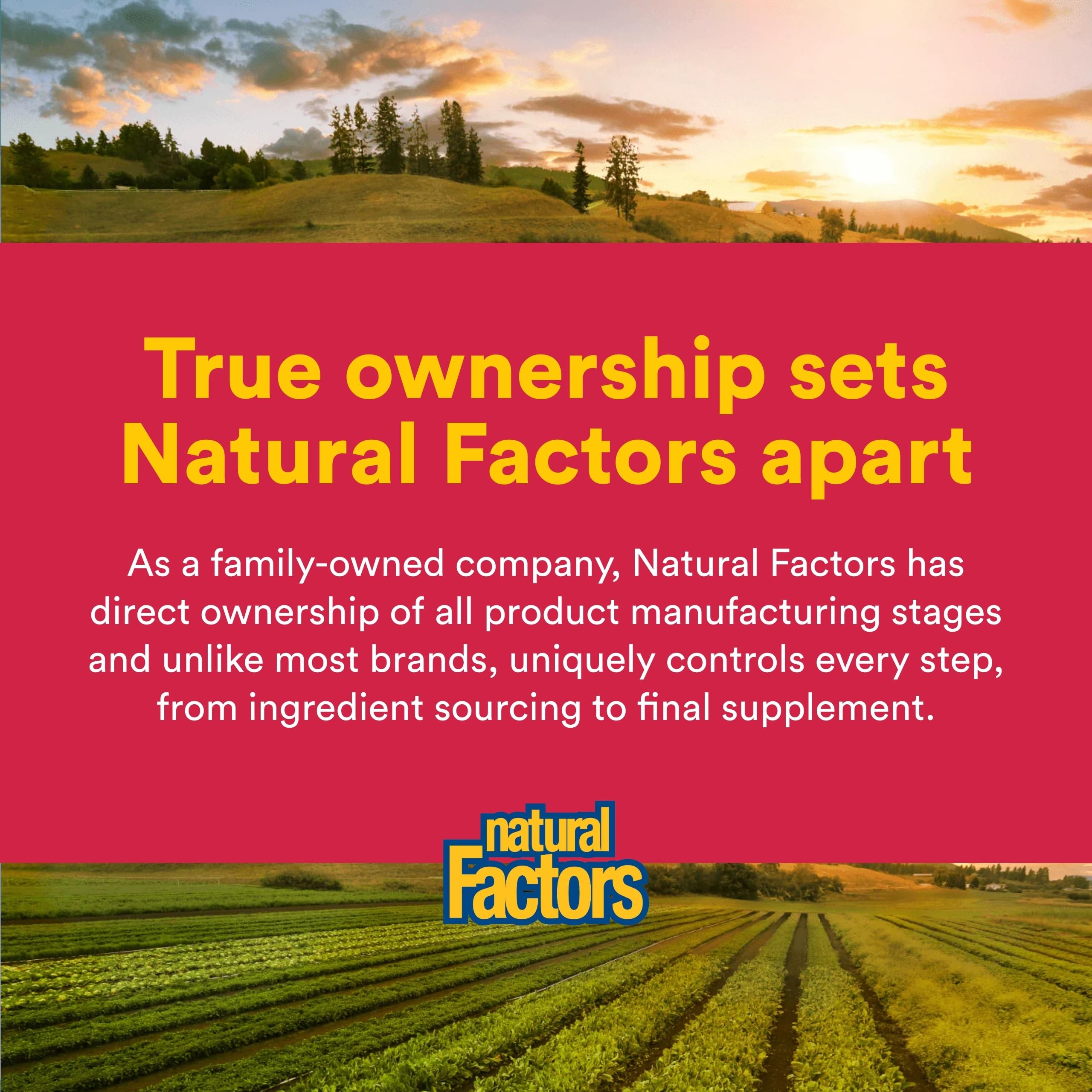 Natural Factors PGX Daily Ultra Matrix – emballage pratique pour votre routine quotidienne.