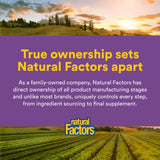 Natural Factors Pharma GABA : ingrédients naturels et formule sans allergènes