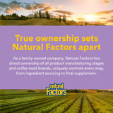 Natural Factors Pharma GABA, sans-ogm-sans-additifs-artificiels: formule pure et naturelle.