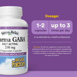 Natural Factors Pharma GABA : tablettes, absorption rapide pour le focus