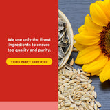 Natural Factors phosphatidylsérine – source non-OGM sans soja et sans gluten