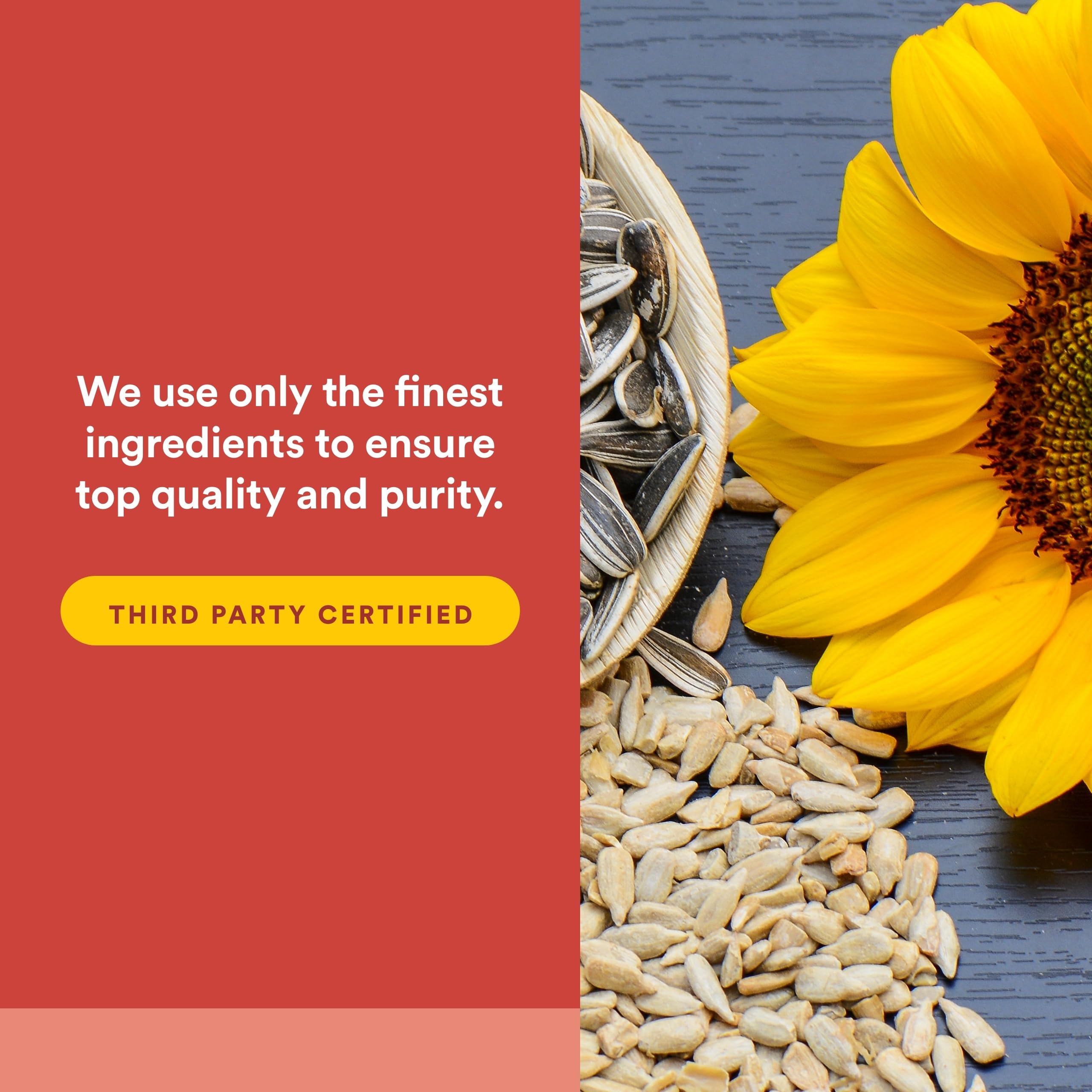 Natural Factors Phosphatidylserine: usage quotidien, soutien concentration et mémoire