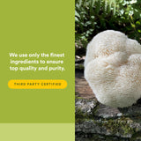 Natural Factors Super Mushroom – prise quotidienne: simple à suivre avec les repas.