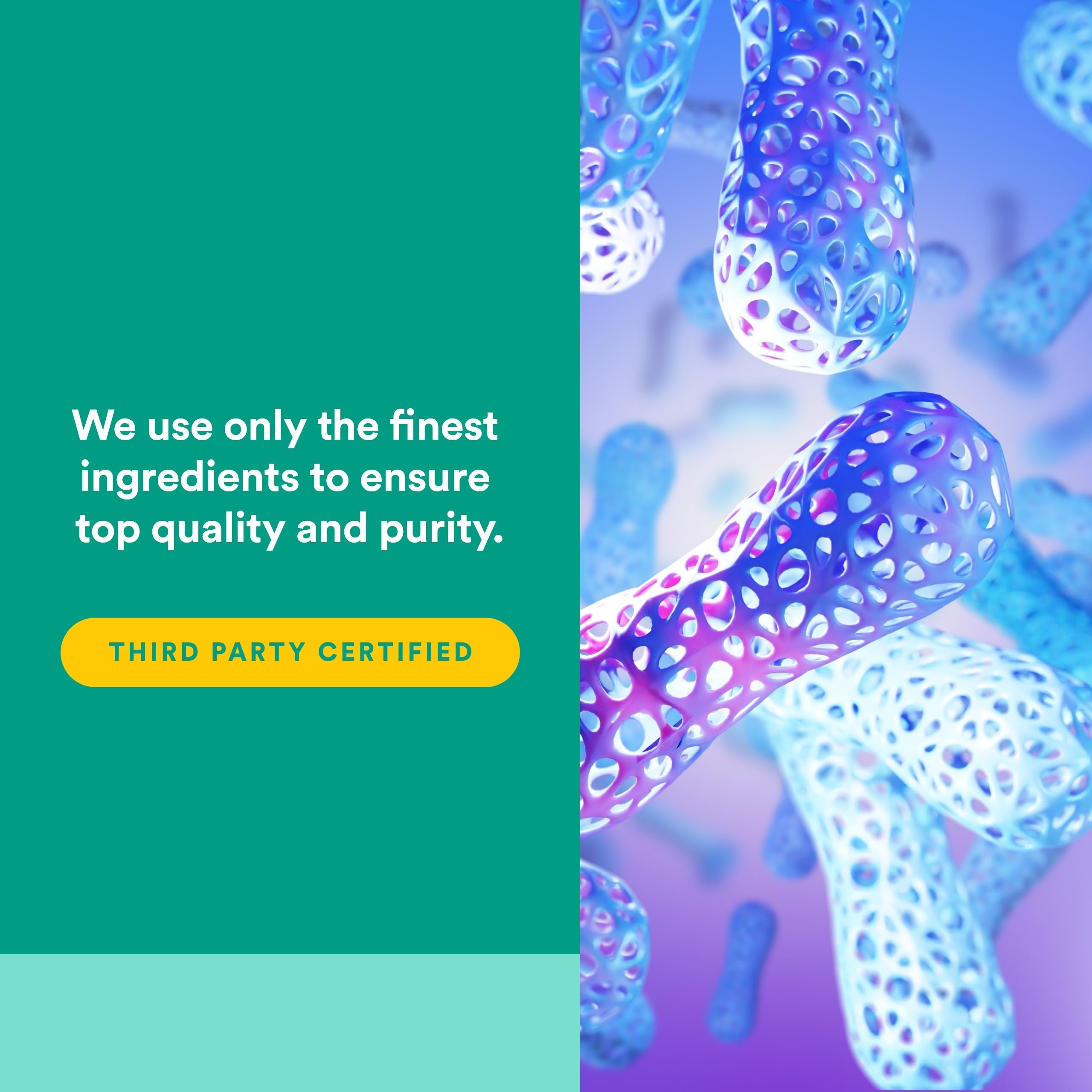 Natural Factors Probiotique Ultime 24/12 – aperçu des souches probiotiques pour une diversité microbienne.