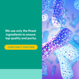 Natural Factors Probiotique Ultime 24/12 – aperçu des souches probiotiques pour une diversité microbienne.