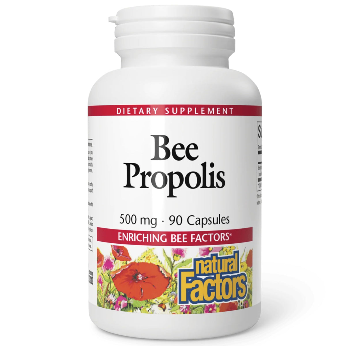 Natural Factors Propolis Extrait 500 mg — bouteille de 90 gélules prête à l’emploi pour une prise quotidienne.