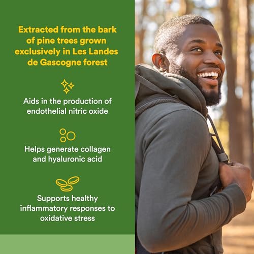 Natural Factors Pycnogenol – boîte de 30 capsules, soutien des artères et de la peau.