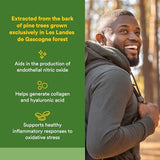 Natural Factors Pycnogenol – boîte de 30 capsules, soutien des artères et de la peau.