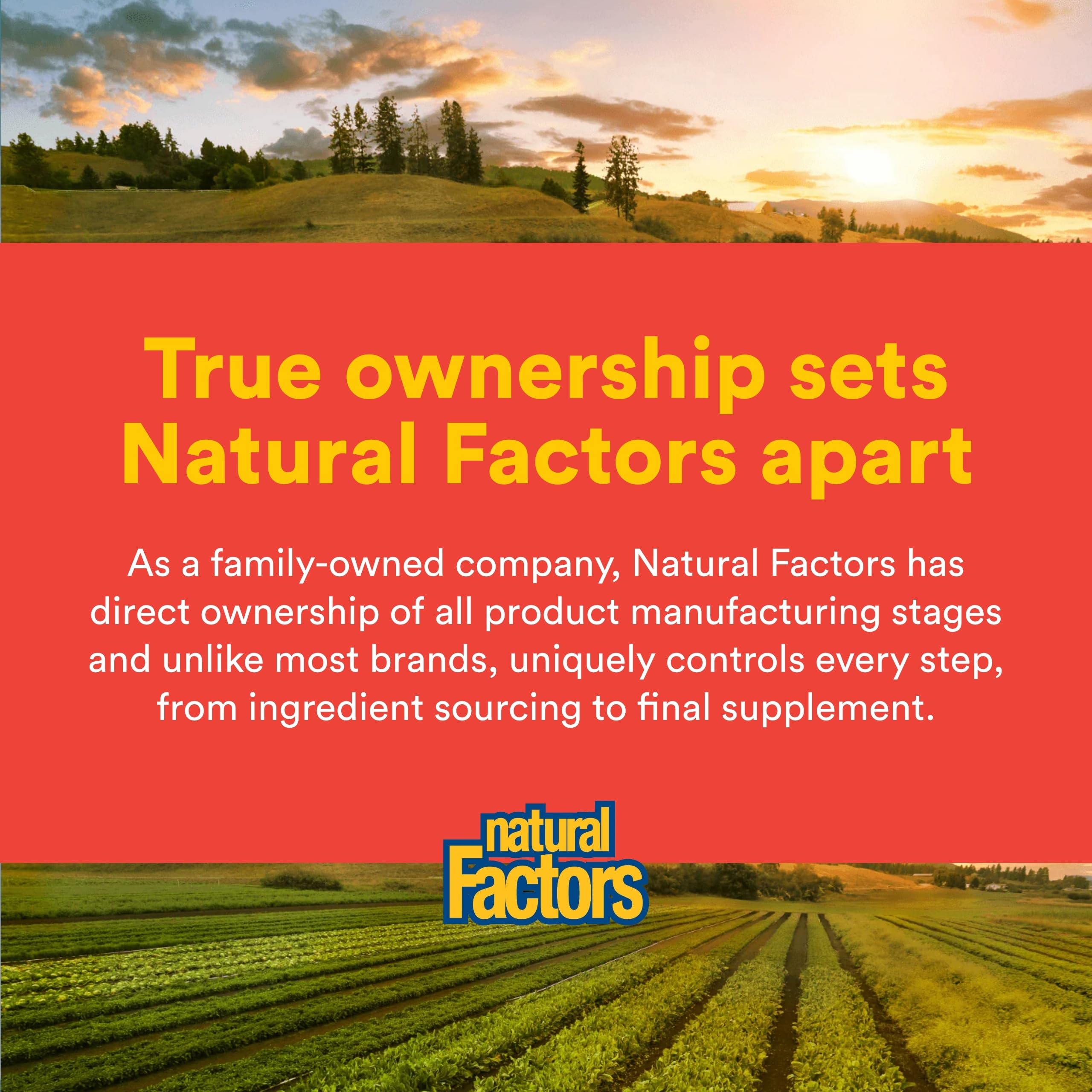 Natural Factors Quercétine lipomicelle - sans allergènes courants pour une compatibilité.