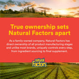 Natural Factors Quercétine lipomicelle - sans allergènes courants pour une compatibilité.