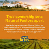 RegenerLife Natural Factors: utilisation quotidienne recommandée pour soutenir énergie et vitalité.