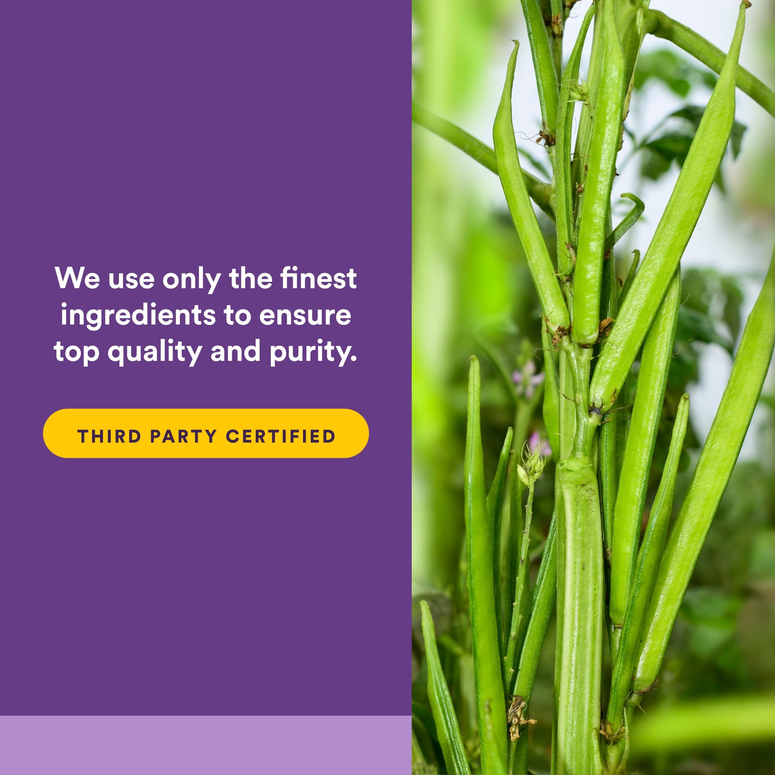 Relieffiber Natural Factors, etiquette-bio-certifie, produit biologique et traçable.