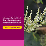 Natural Factors ResveratrolRich – provenance biologique et locale des ingrédients