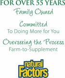 Natural Factors routine-sante vert quotidien: boisson nutritive pour le petit-déjeuner.