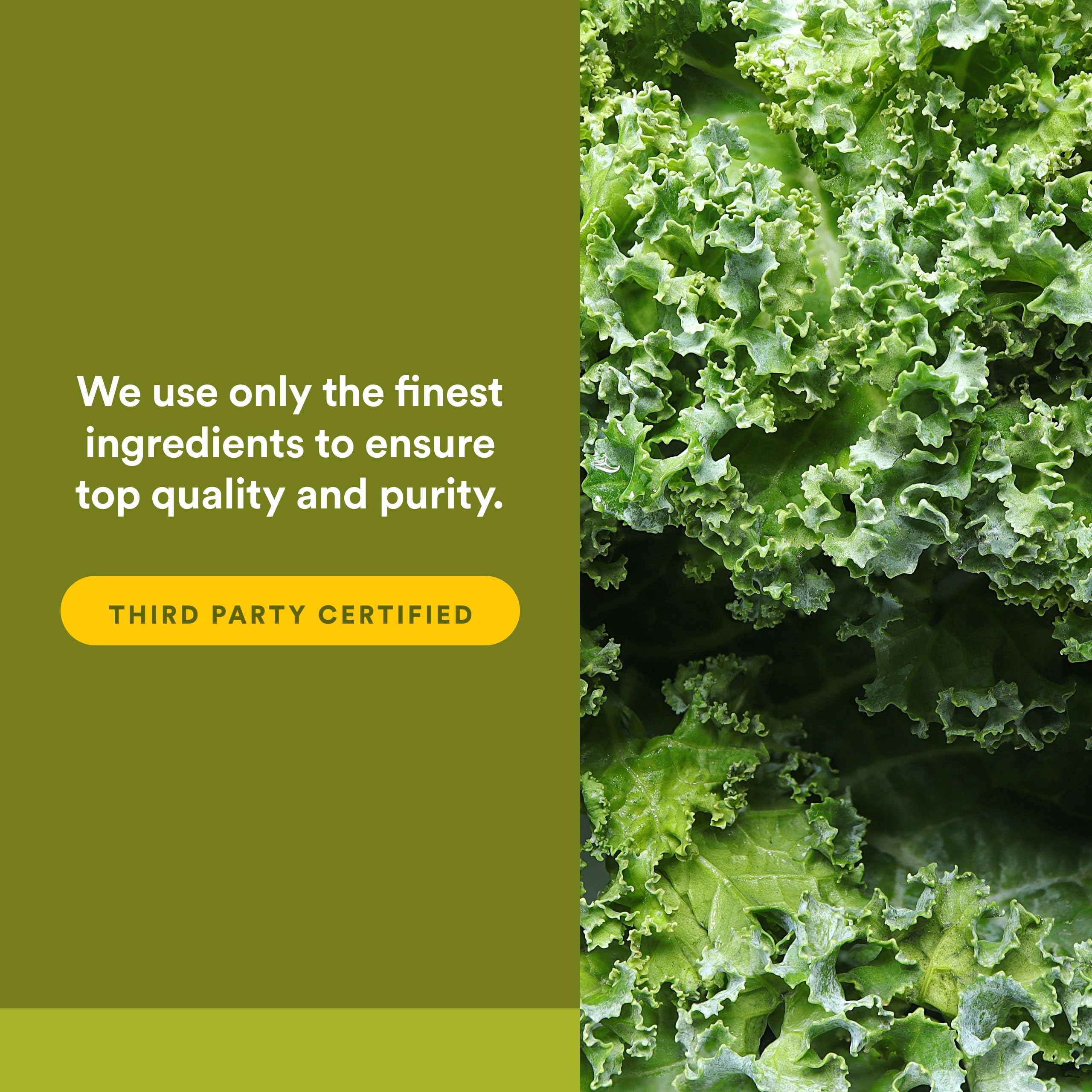 Natural Factors Whole Earth & Sea – visuel sans produits laitiers et sans gluten.