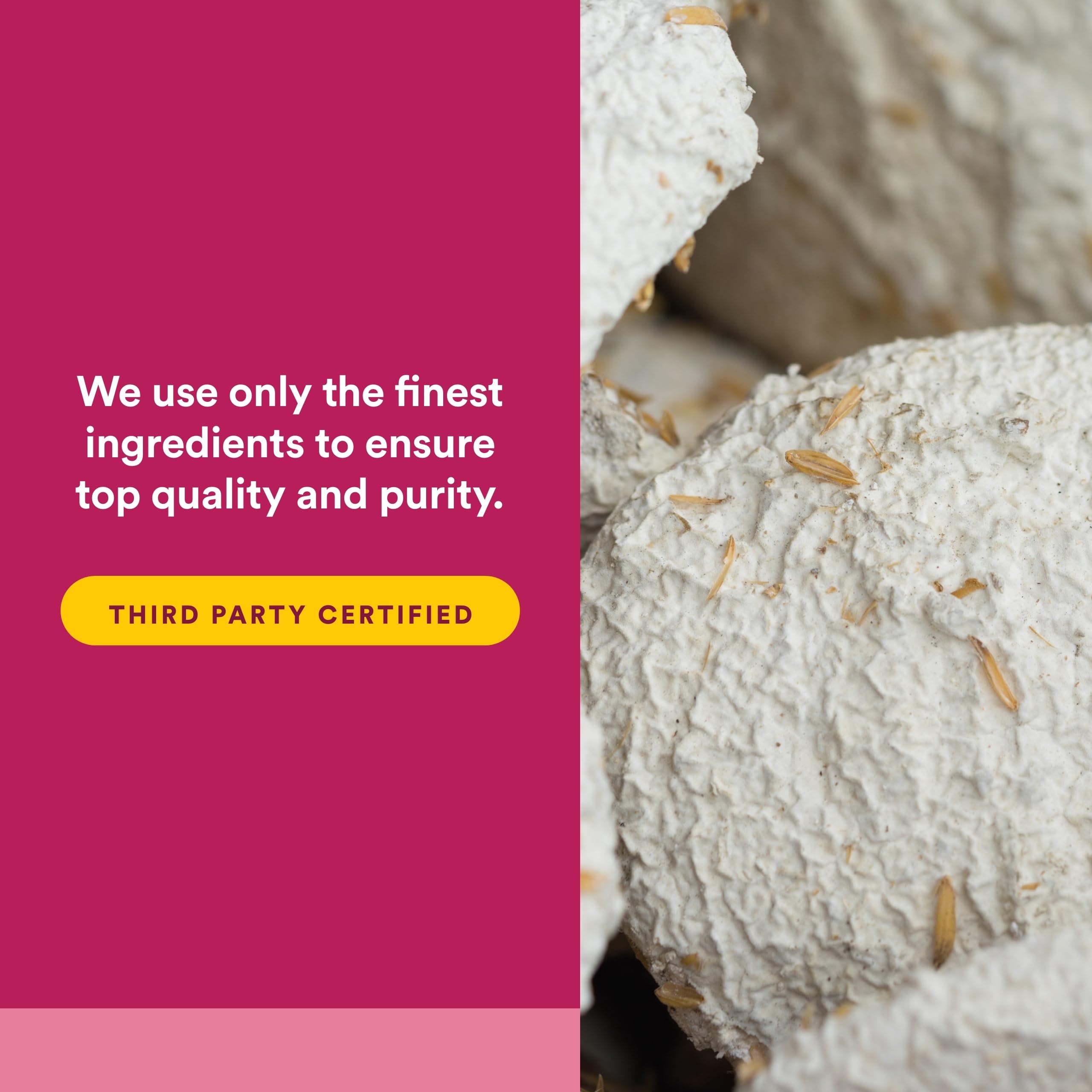 Natural Factors SelenoExcell – dose quotidienne clairement affichée, praticité d’utilisation.