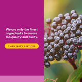 Natural Factors Sureau Noir labo-certifie: contrôle indépendant et pureté