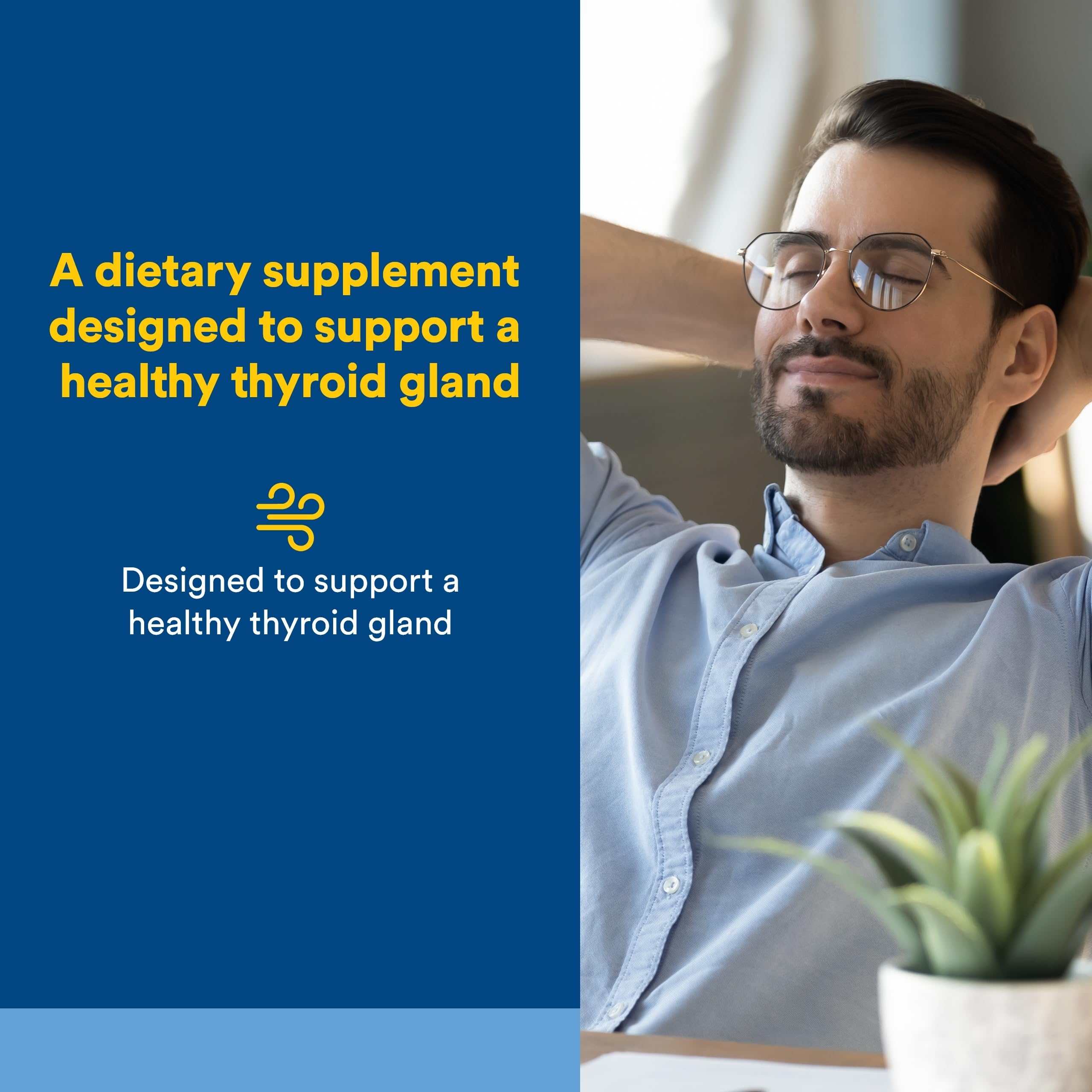 Capsules Natural Factors Thyroid Health Formula, apport nutritionnel pour une vitalité soutenue.