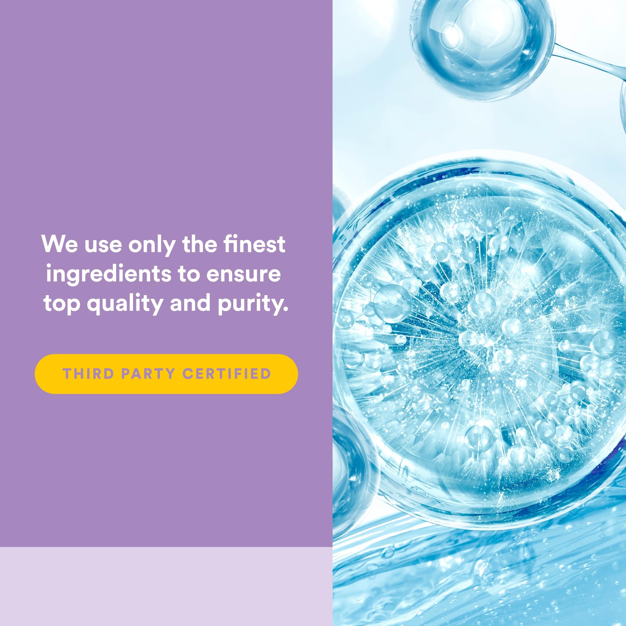 Natural Factors Total Body Collagen: ingrédients clés comme biotine et vitamine C pour soutien général.