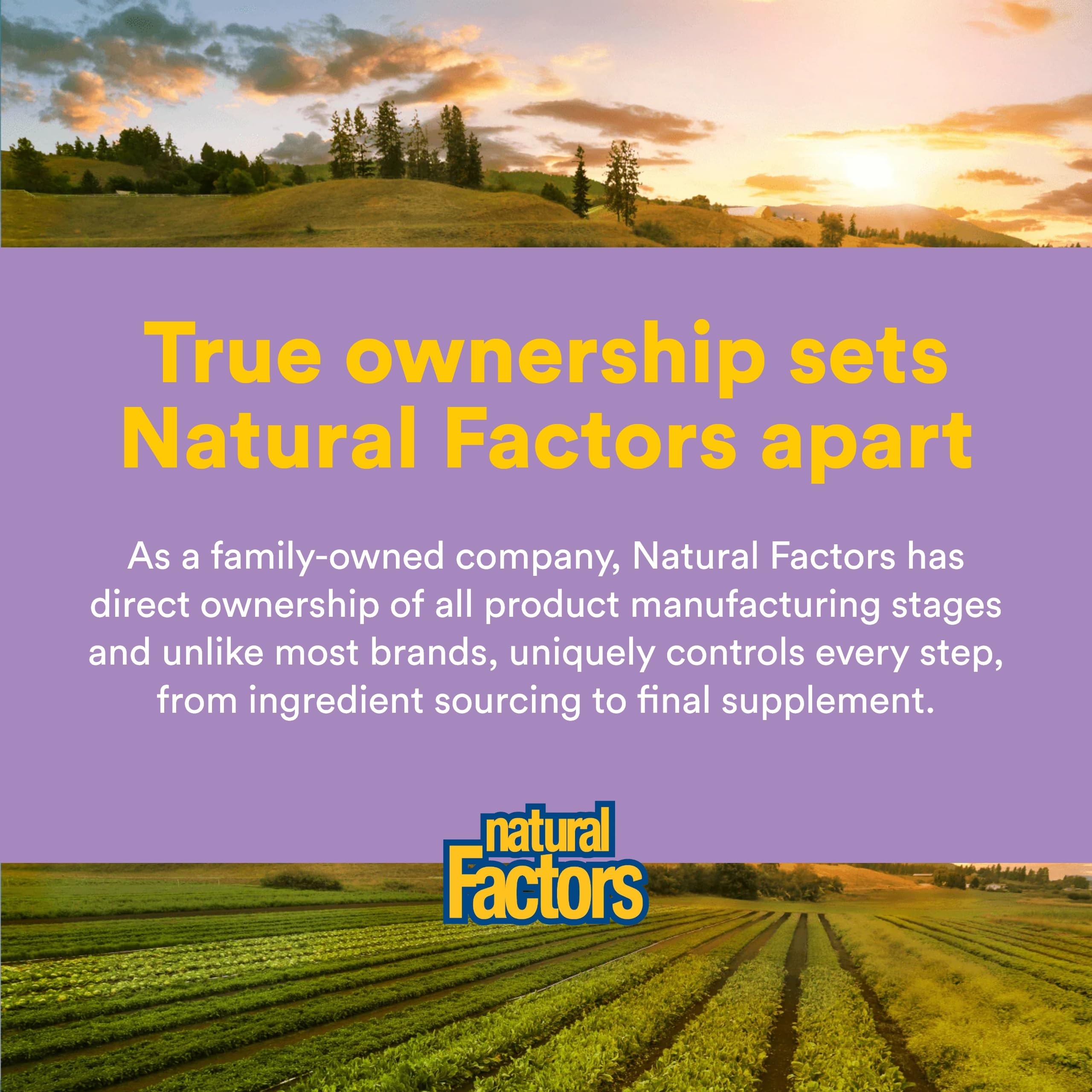 Préparation d'une boisson avec Natural Factors Total Body Collagen pour hydratation