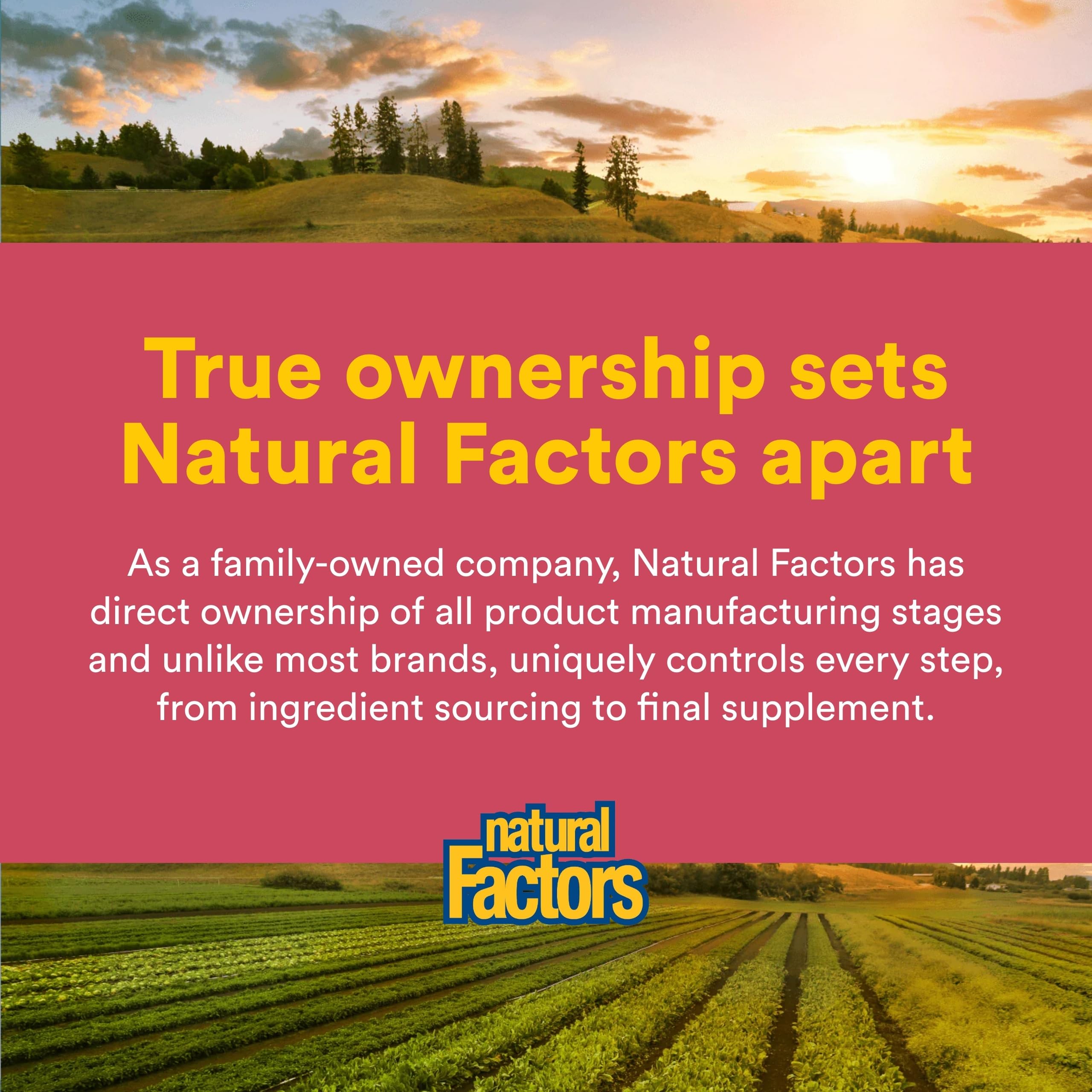 Natural Factors Vinaigre cidre fermenté – capsules respectueuses de l’environnement et routine digestive