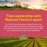 Natural Factors Vinaigre cidre fermenté – capsules respectueuses de l’environnement et routine digestive