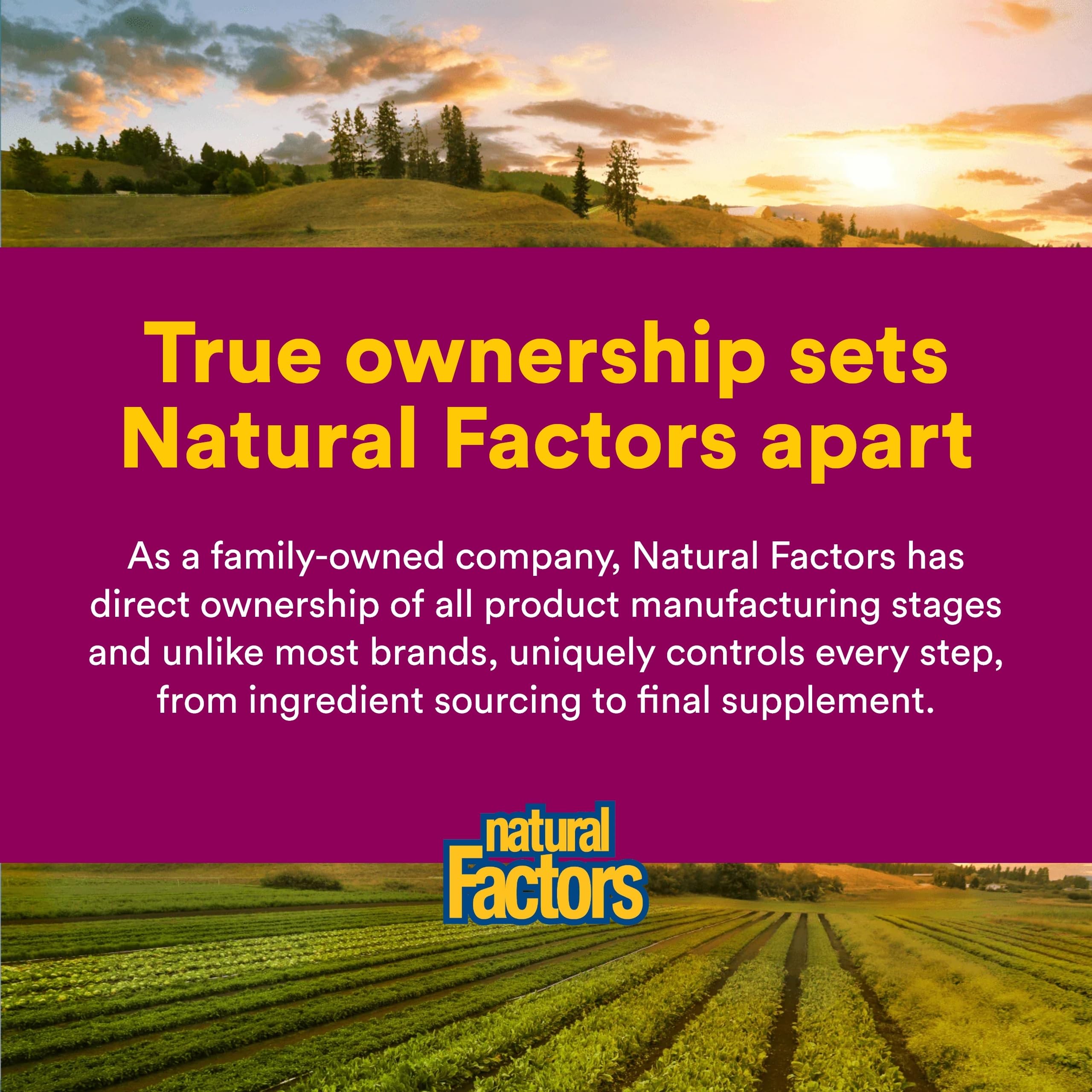 Formule vegan sans OGM chez Natural Factors, image claire de l’étiquetage