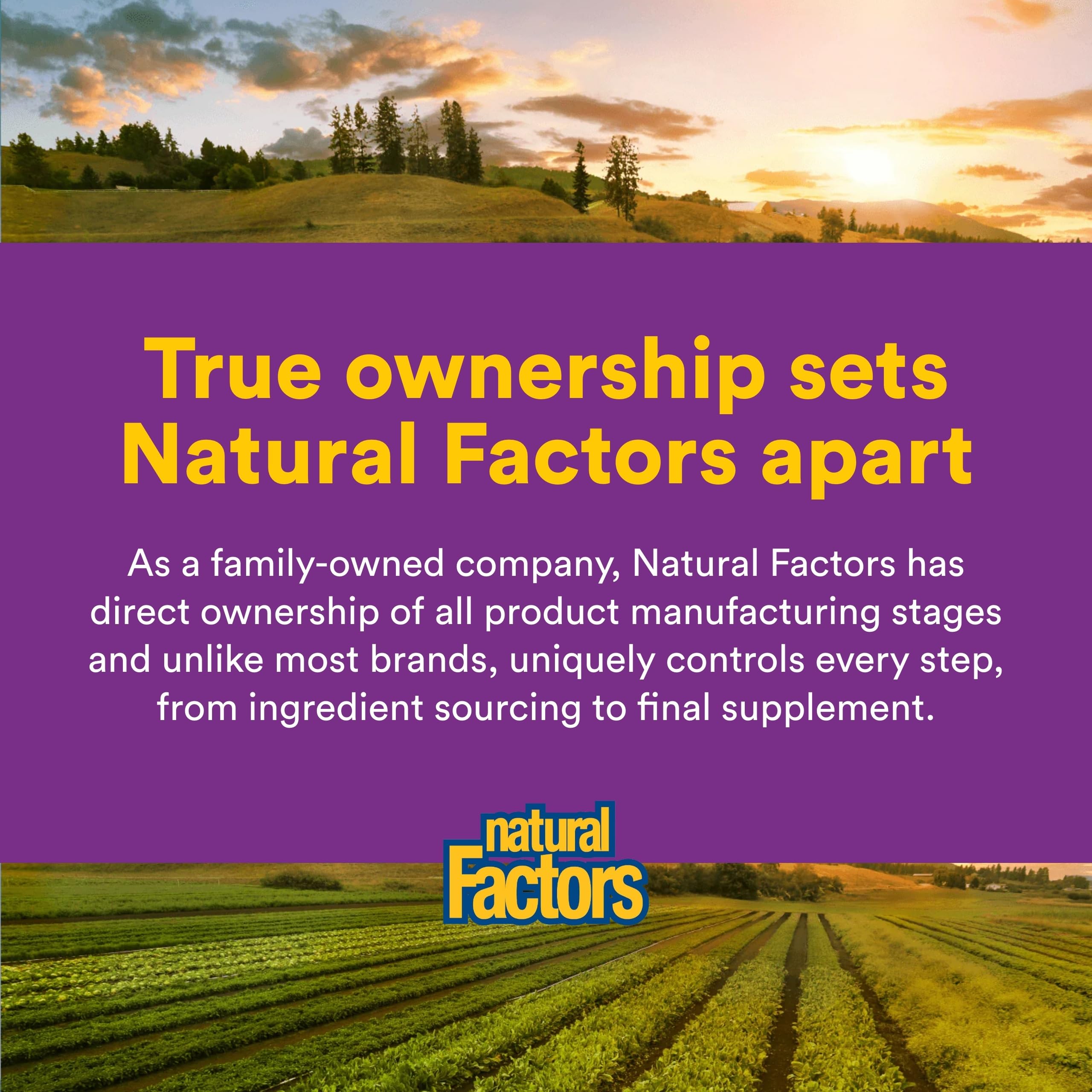 Natural Factors Vitamin E Mixte – utilisation pratique pour mode de vie actif.