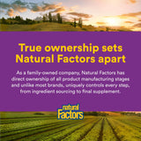 Natural Factors Vitamin E Mixte – utilisation pratique pour mode de vie actif.