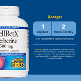 Capsule Berberine dans la main – soutien énergétique potentiel quotidien