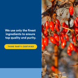Natural Factors WellBetX Berberine – fiche technique: posologie et ingrédients.
