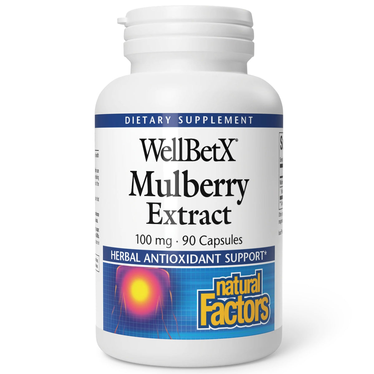 WellBetX Extrait de Mûrier – bouteille prête à l’emploi pour usage quotidien